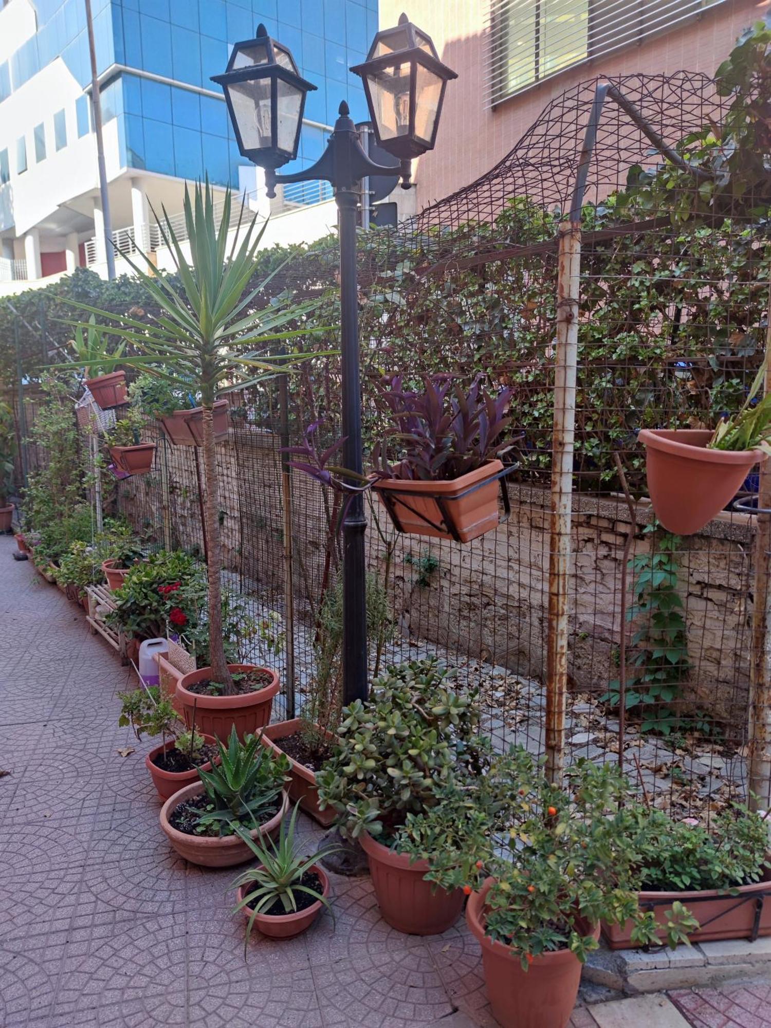 Domvs Romae Apartment — Foto 2